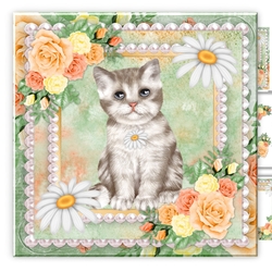 Daisies & Roses Sweet Grey Kitten