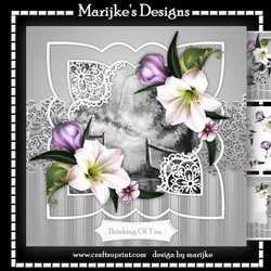Scallop Frame Amaryllis Sympathy