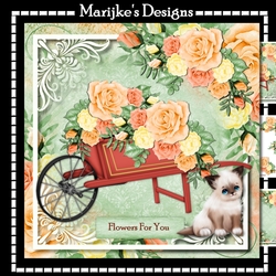 Wheel barrow Beautiful Roses