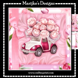 Driver License Girl In Pink  Mini Kit