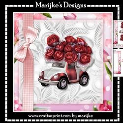 Driver License Girl red Roses Mini Kit