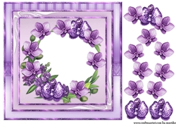Orchids 1