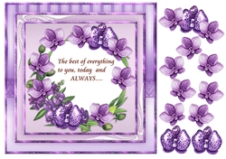 Orchids 2