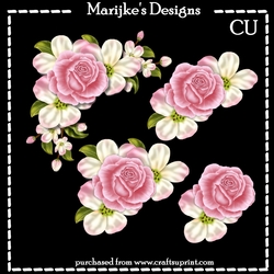 Appleblossom Roses CU Vignette