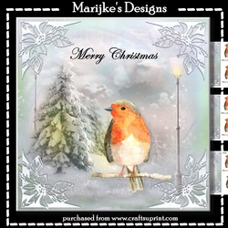 Christmas Robin