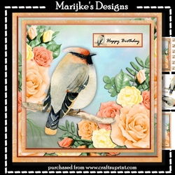 Precious Bird Mini Kit