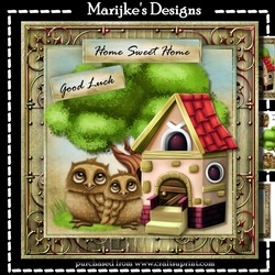 New Home Owlhouse