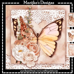 Butterfly Beauty Mini Kit