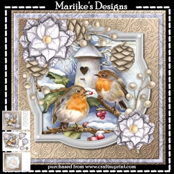 Winter Birds Mini Kit