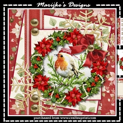 Cute Robin Mini Kit
