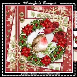 Cute Robin santa hat Mini Kit