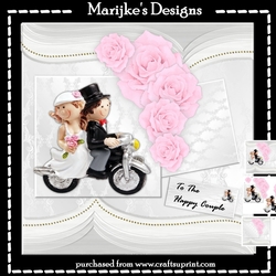 Cute Wedding card Pink Roses Mini Kit