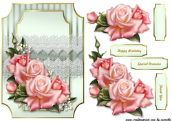 A5 Classic  Pink  Roses