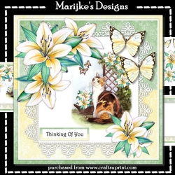 Lilies & Lace Mini Kit