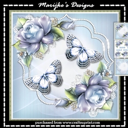 Vintage Roses In Glitter Frame