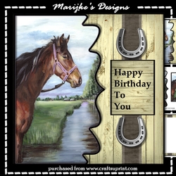 Male Card Beautiful Horse Mini Kit
