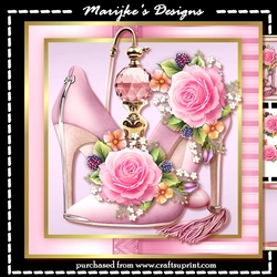 Elegant Shoes Mini Kit