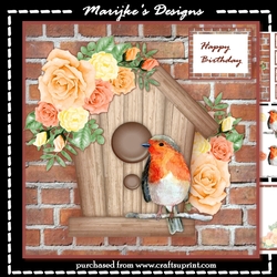 Cute Birdhouse Mini Kit