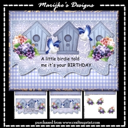 A Little Birdie Mini Kit