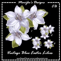 CU Designer Resources Easter Lilies Vintage Blue