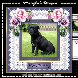 Black Staffie Mini Kit