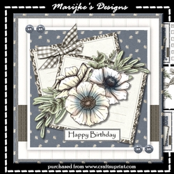 Birthday Anemones Mini Kit