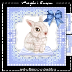 Cute Bunny Mini Kit