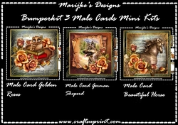 Bumperkit Male Cards Golden Roses