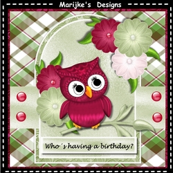 Cute Owl Mini Kit
