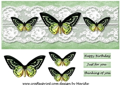 Large DL Card  Vintage Butterflies