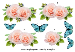Step By Step Pretty Roses