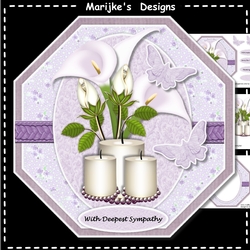 Octagon Sympathy