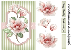 A5 Classic Magnolia´s 1