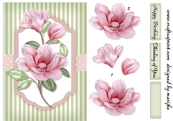 A5 Classic Magnolia´s 2
