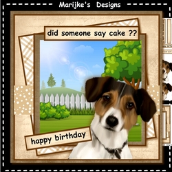 Male Card Dog