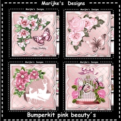  Bumperkit Pink Beauty´s