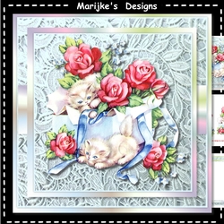 Lace, Kittens & Roses