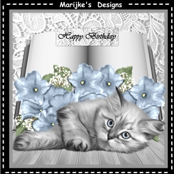 Cute Kitten Book & Flowers