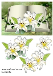 A5 Sympathy Book Lilies