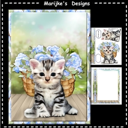 A5 Cute Kitten