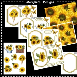 Sunflower Bumperkit