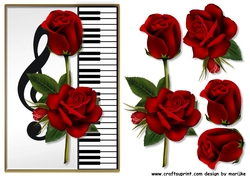 A5 Piano Red Roses