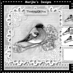 Little Bird Sympathy Mini Kit