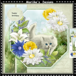In The Garden Mini Kit