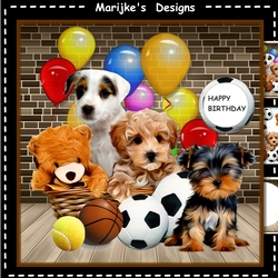 Birthday Boy Pets Mini Kit