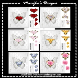 Bumperkit butterflies