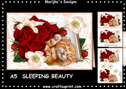 Sleeping Beauty Mini Kit