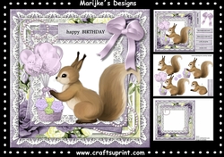 Cute Birthday Squirrel  Mini Kit