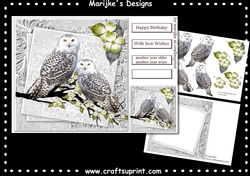 Male card Wise Owls