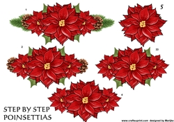 Step By Step Christmas Poinsettias
